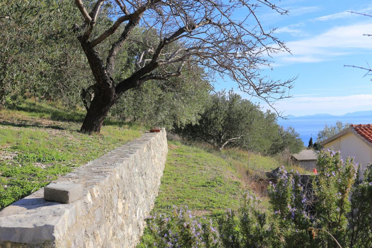 Apartments With A Parking Space Brela, Makarska - 18495 ภายนอก รูปภาพ
